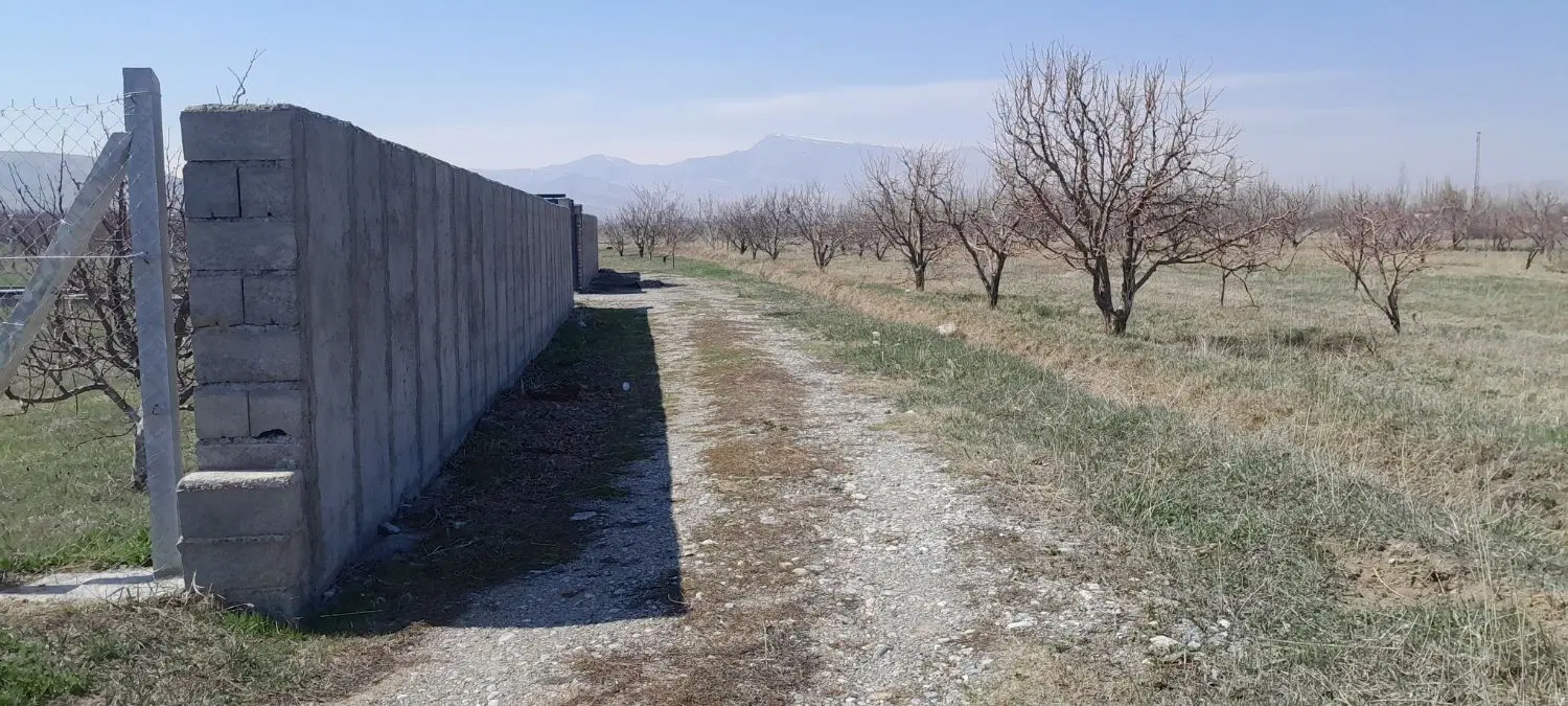 باغچه خانه باغی