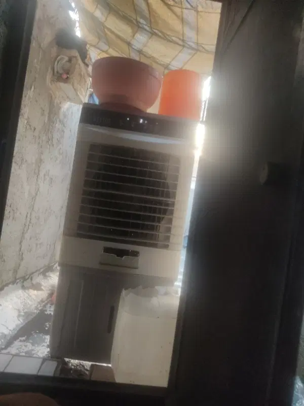 همخانه وهمدم
