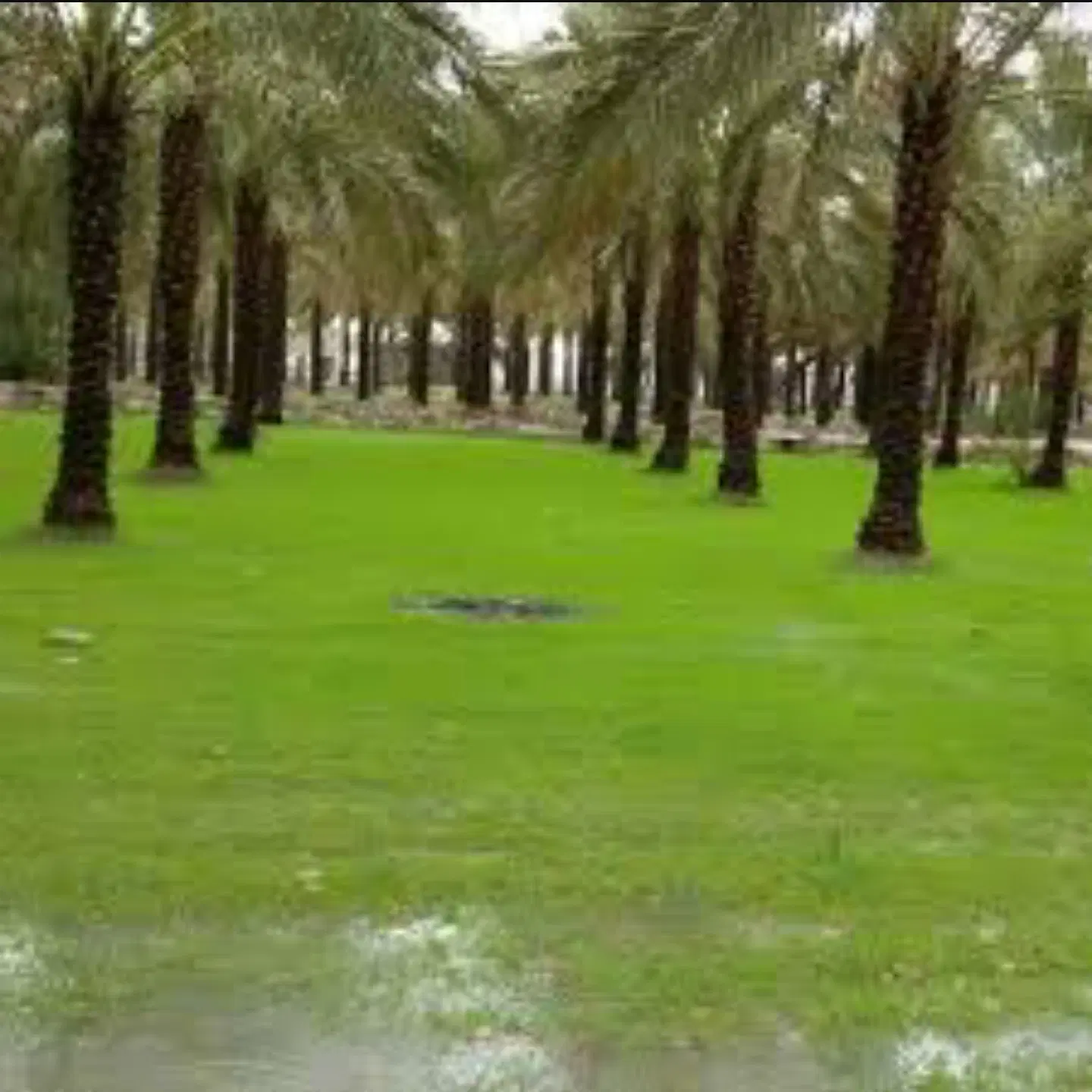 زمین گویم مسکونی شورا