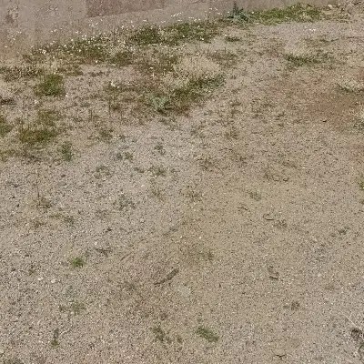 فروش خانه کلنگی