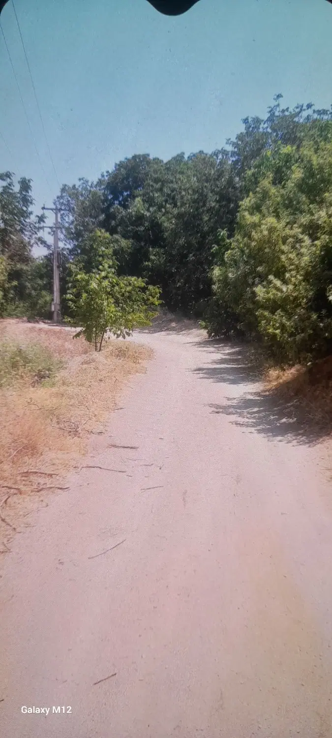 فروش باغ سرکان