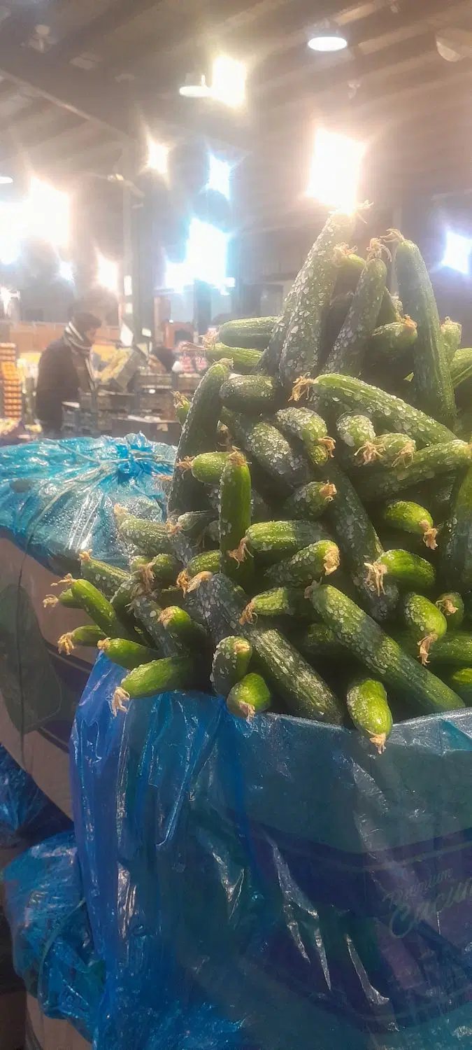 اجاره