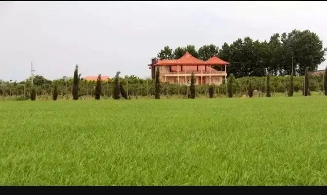 زمین مزایده سرکلاته خراب شهر