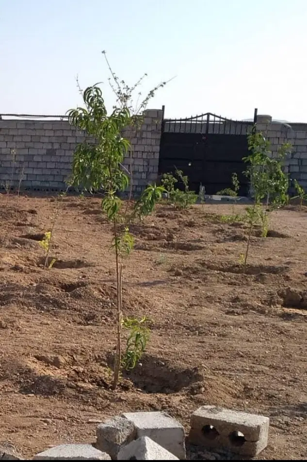 ۳۰۰ متری چهار دیواری روستای گلزار