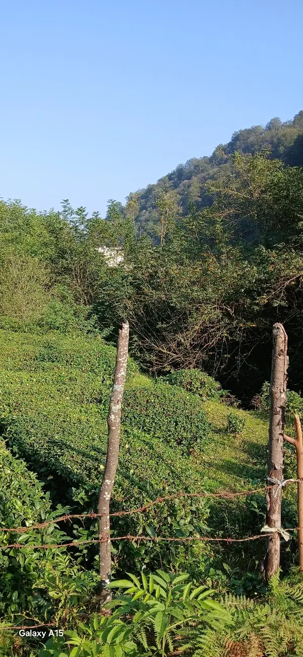 ۸۰۰مترزمین سیدآباد