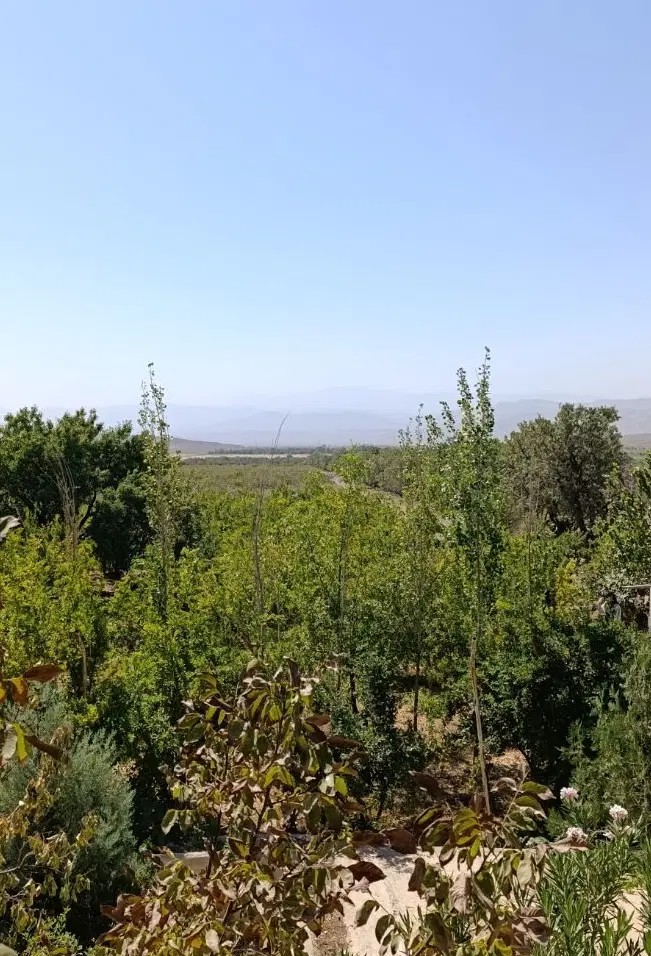 فروش زمین 60متری