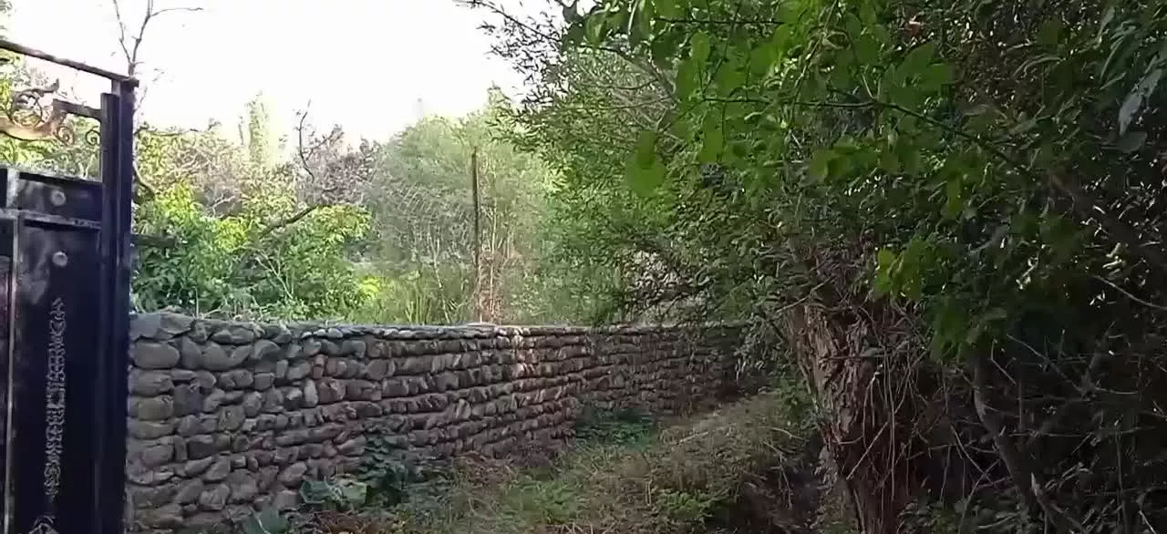 باغ چهار دیواری شده شهرستان طالقان روستای وشته