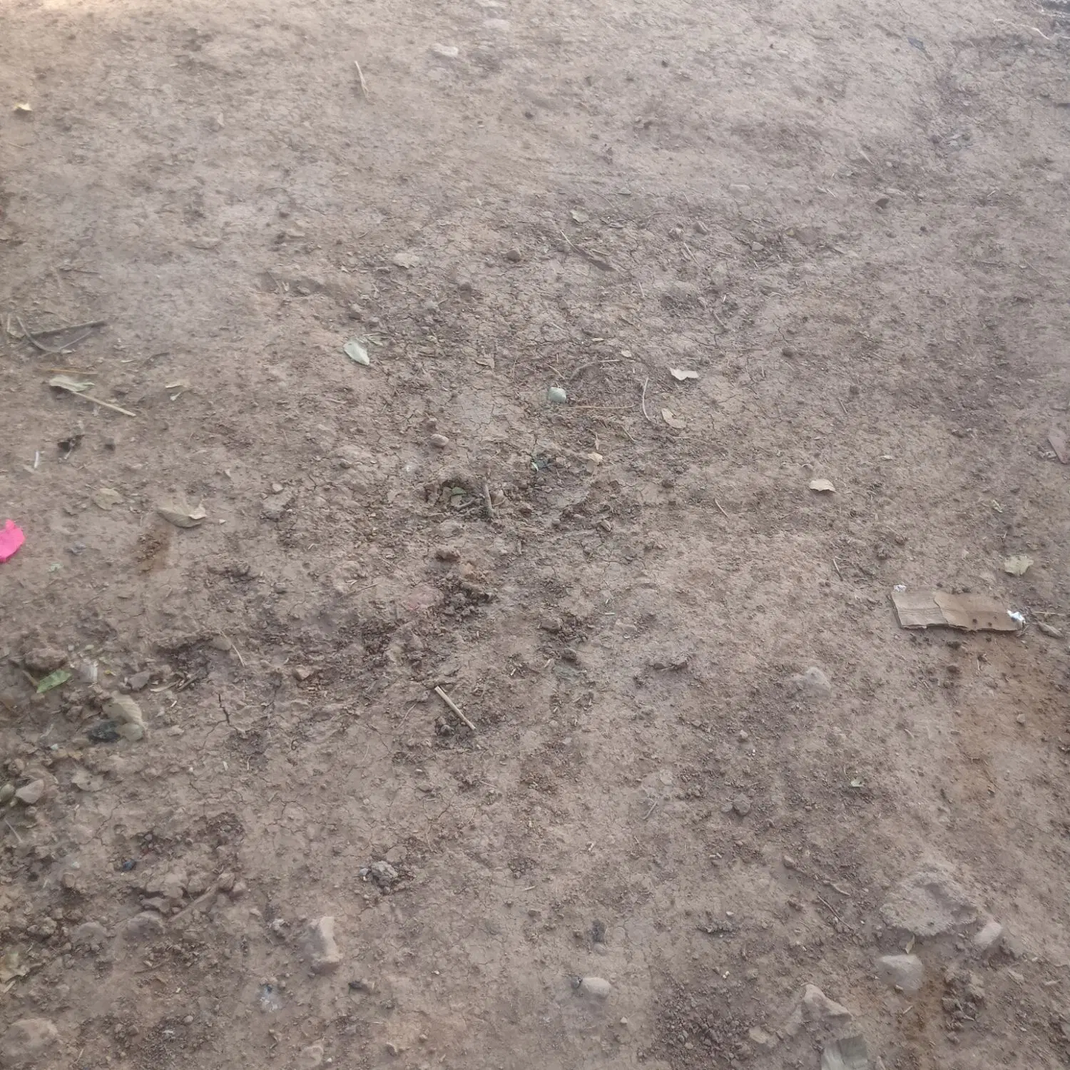فروش زمین   برآفتاب میلاس بالای جاده