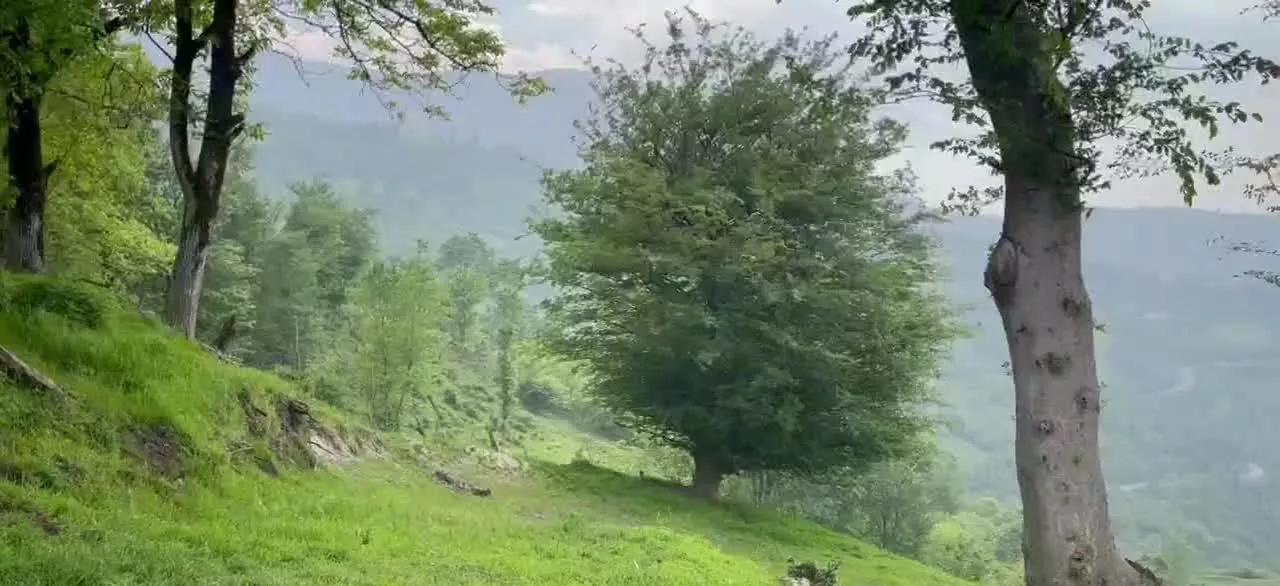 زمینی فروشی