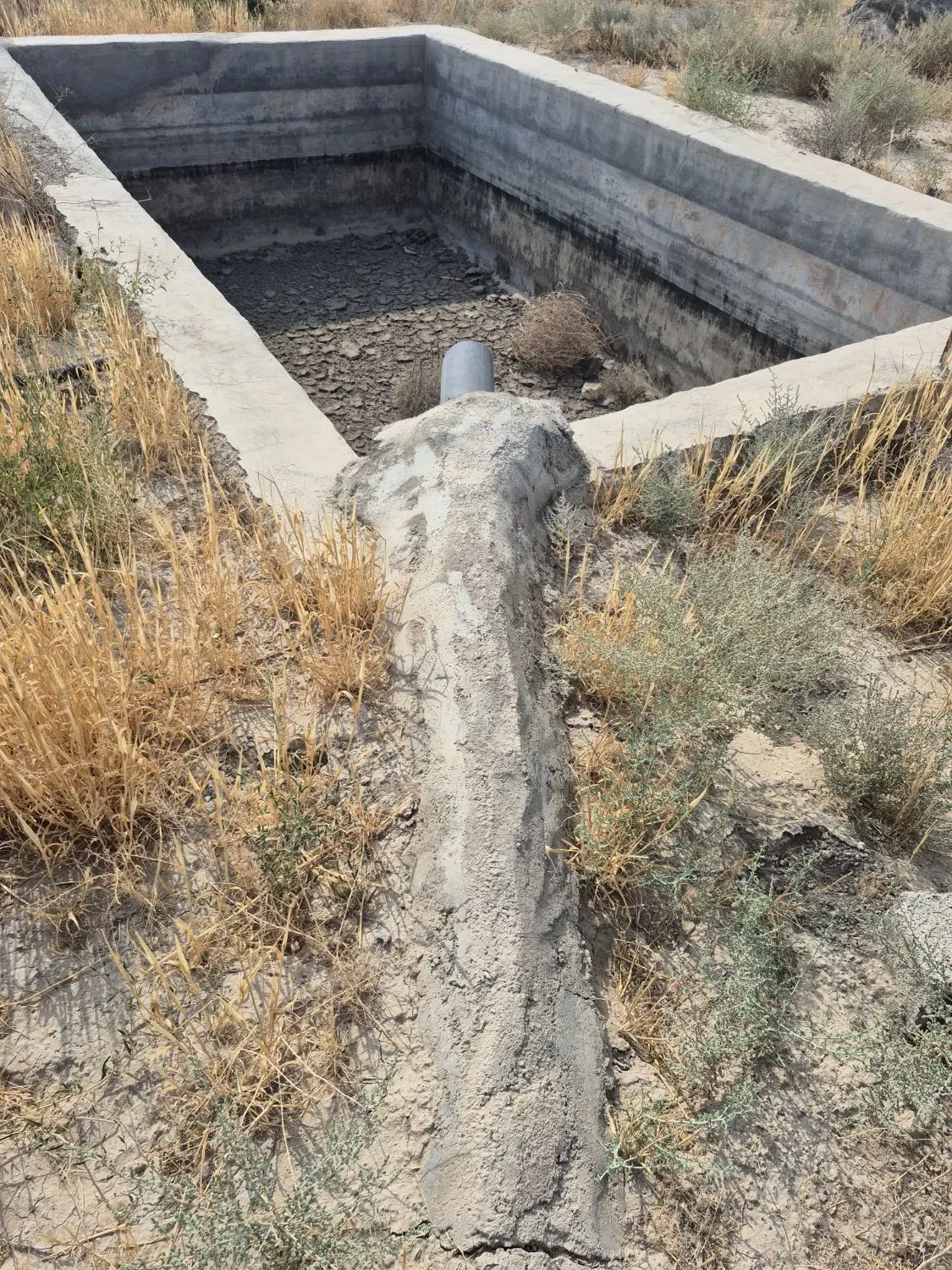 زمین در تنکمان