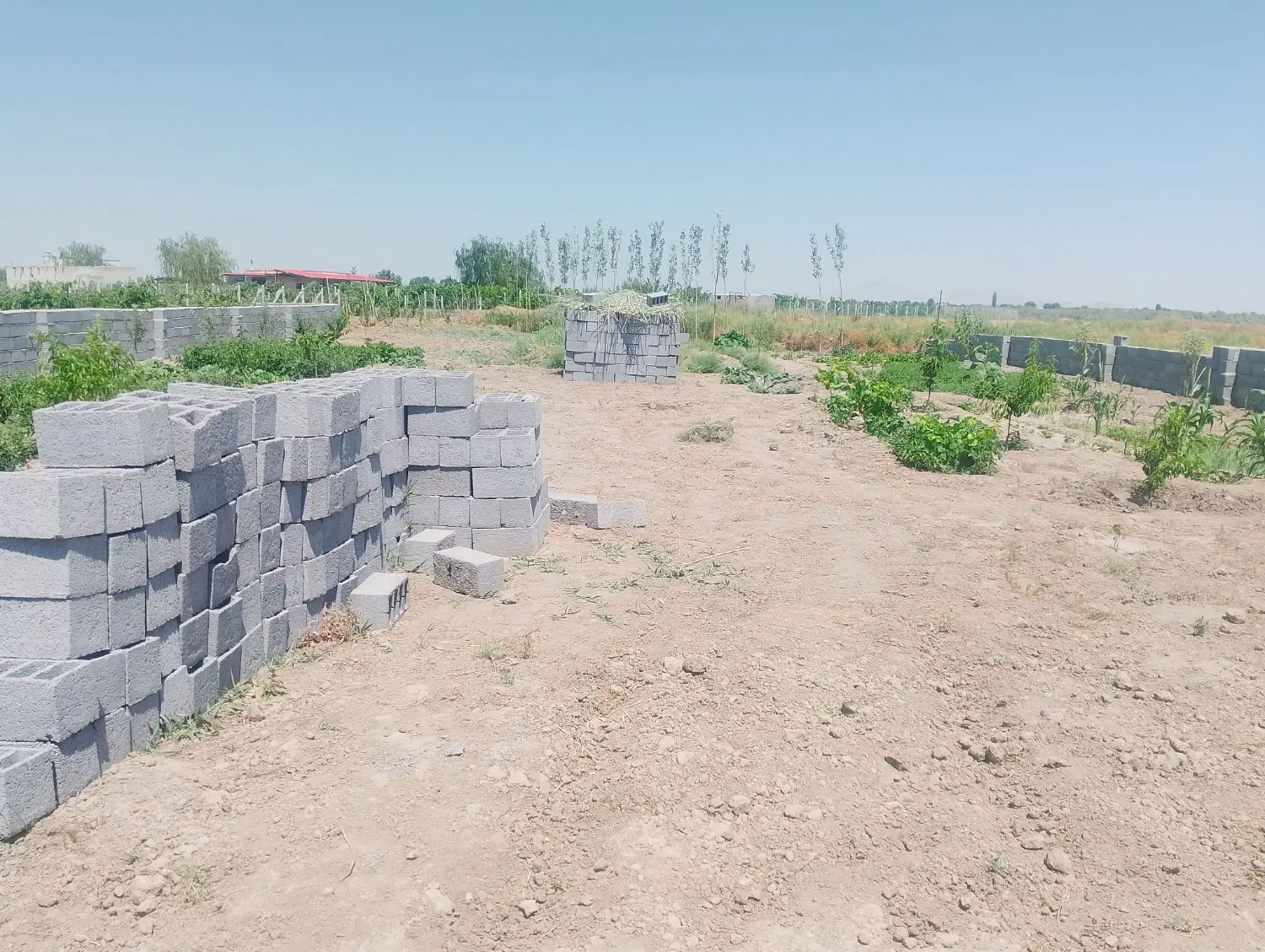 باغ وباغچه