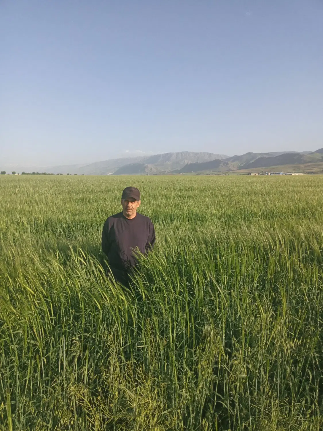 فروش زمین کشاورزی