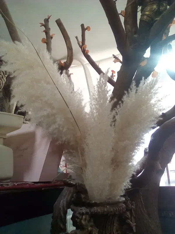 اجاره مغازه بازار