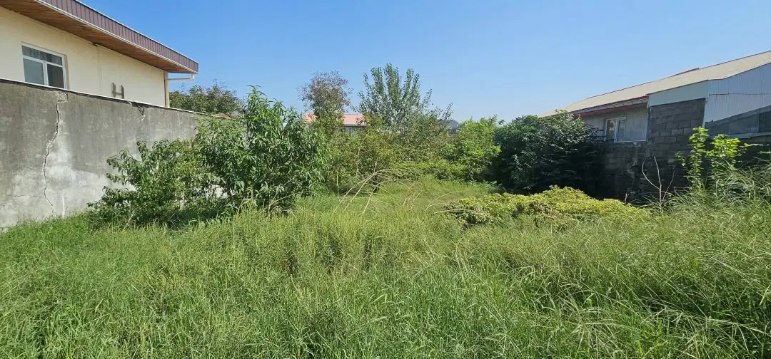 فروش زمین
