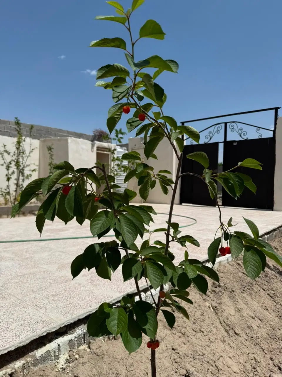 فروش زمین ویلایی