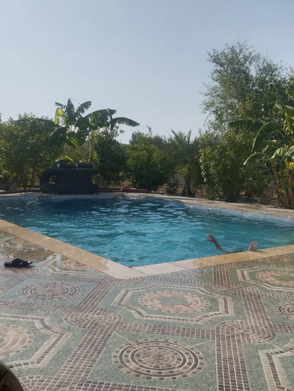 باغچه هزار متری