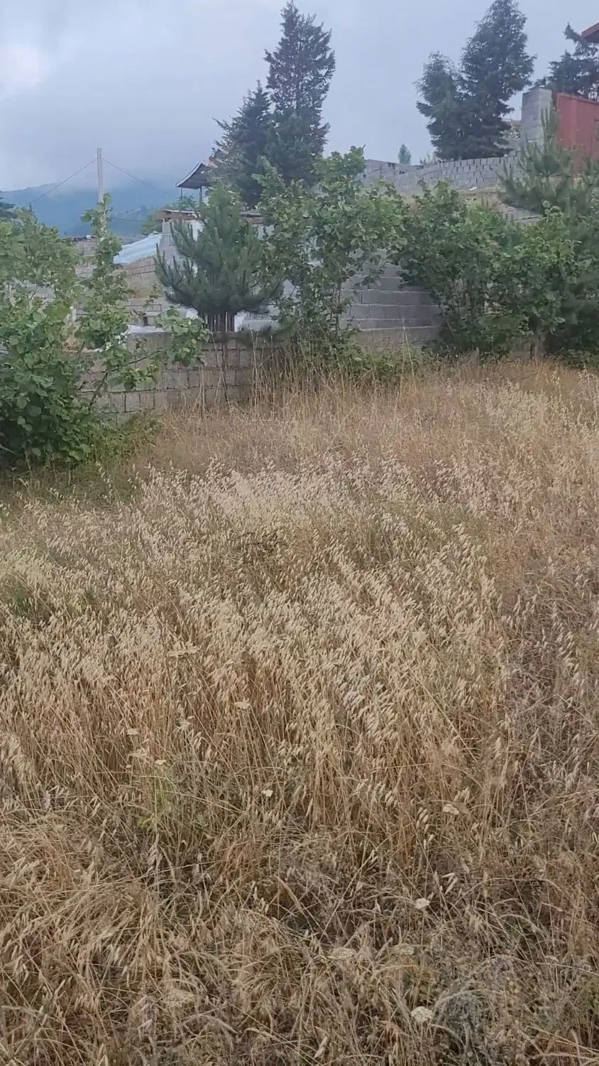 فروش زمین بسیار خوش موقعیت در روستای ویشان