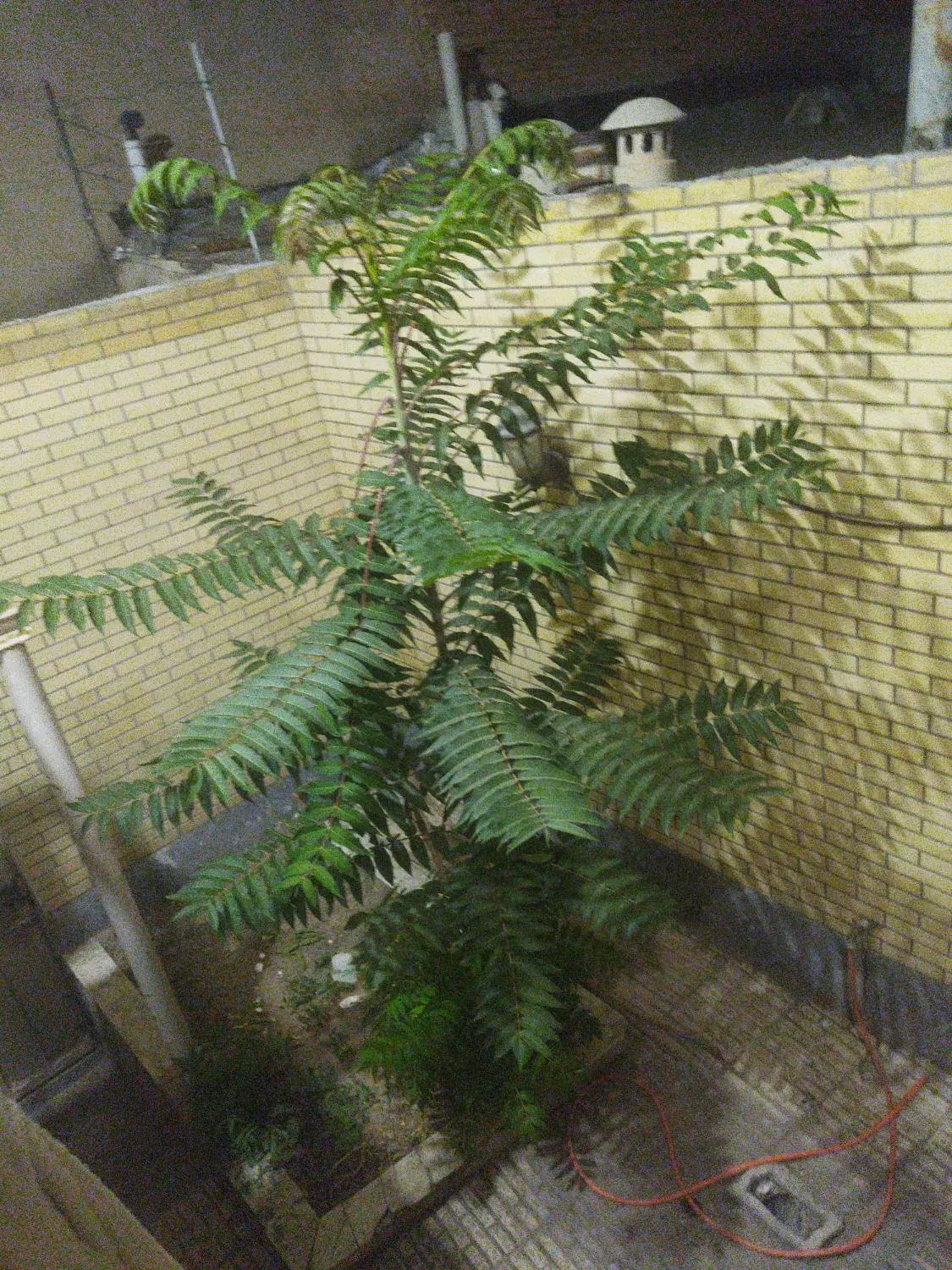 خانه دربست ۲ طبقه