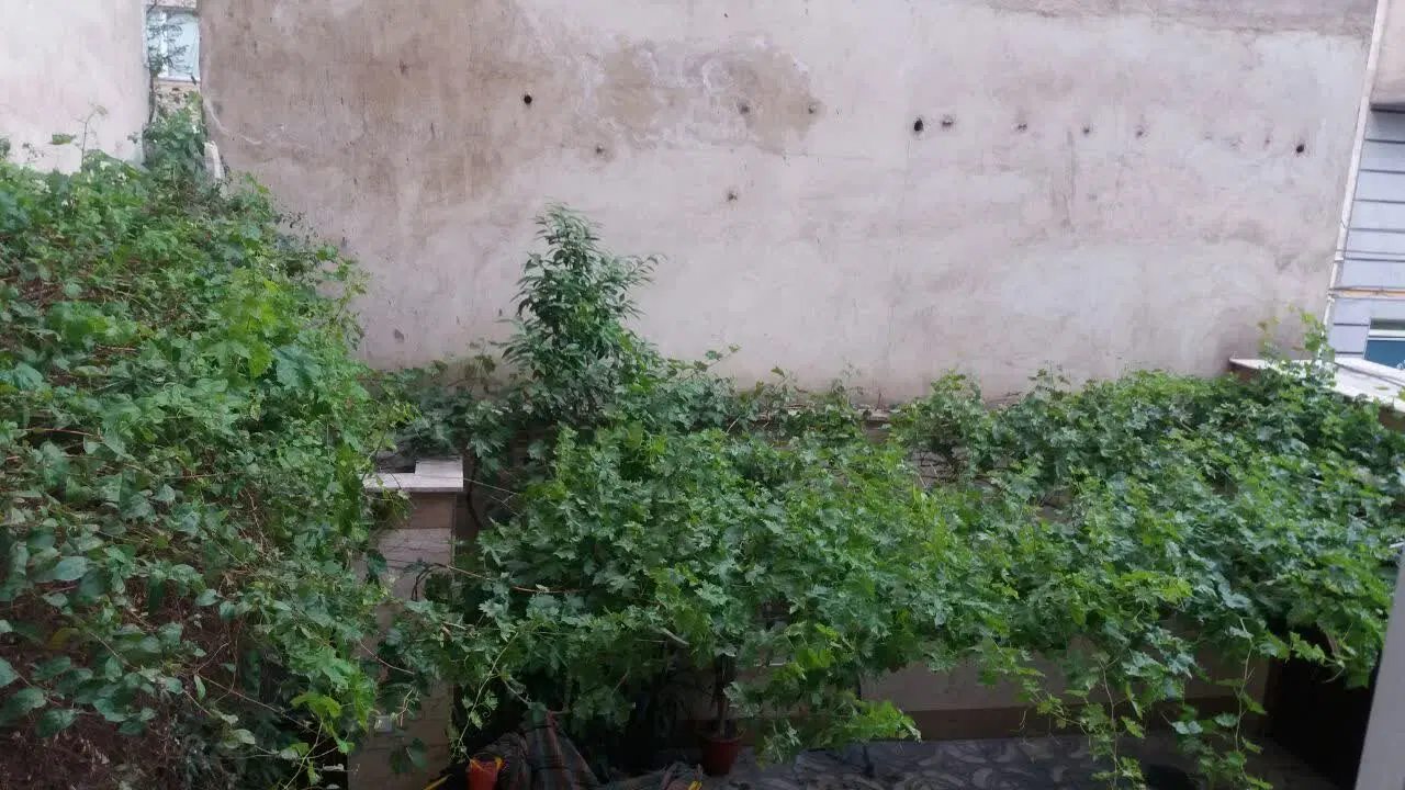 آپارتمان ۵۰متری