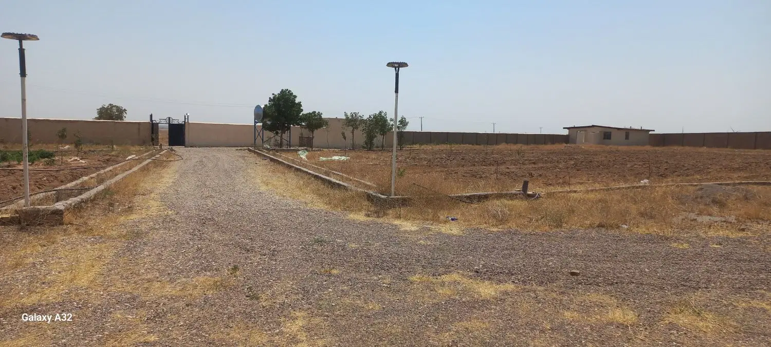 گاوداری گوشتی ۴۰۰ راسی