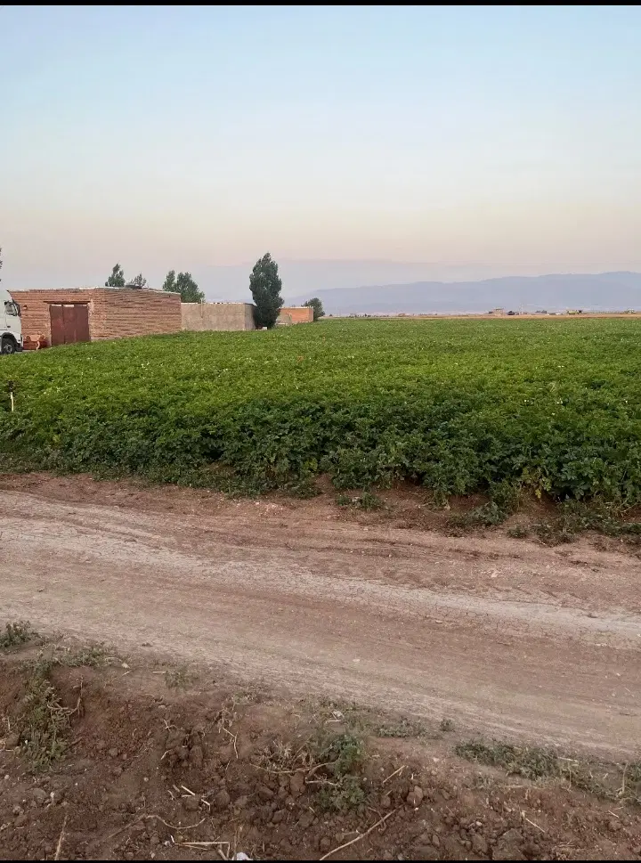 زمین مسکونی ۱۰ هزار متر در روستای پیراقوم