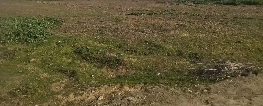 درود هزار متر زمین نزدیک روستایی لاملنگ