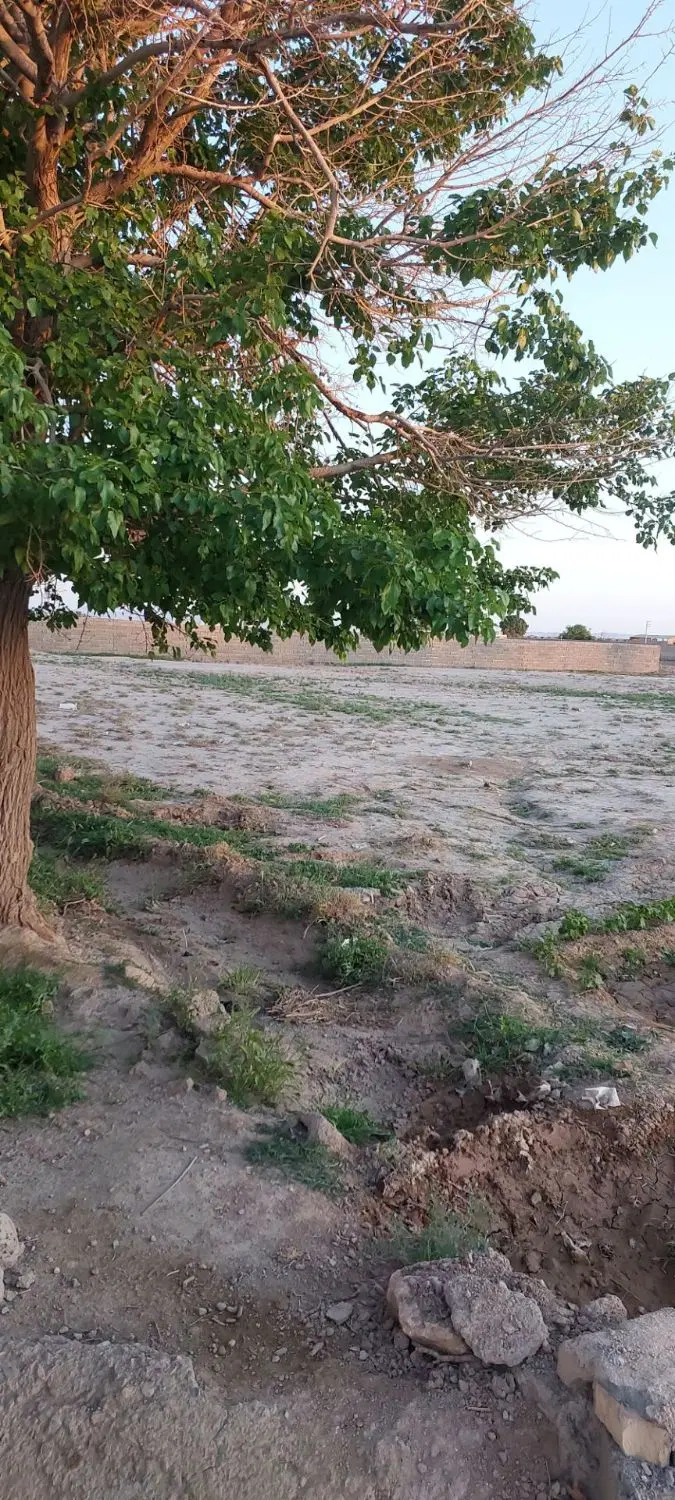 زمین به متراژ ۸۱۰ متر