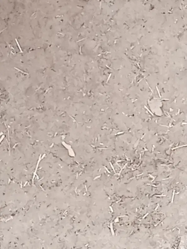 خاک داخل محدوده جنب لپه سازی محله تازه آباد سقز