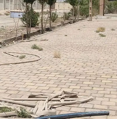 فروش زمین واقع در محی اباد