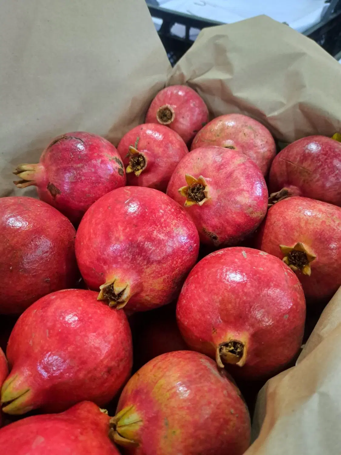 اجاره باغ اناری