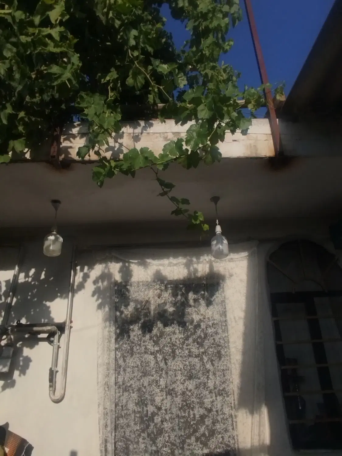 خانه کوی لاله