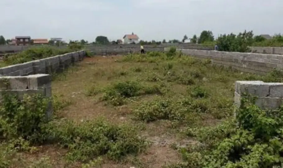 زمین واقع در نوبهار