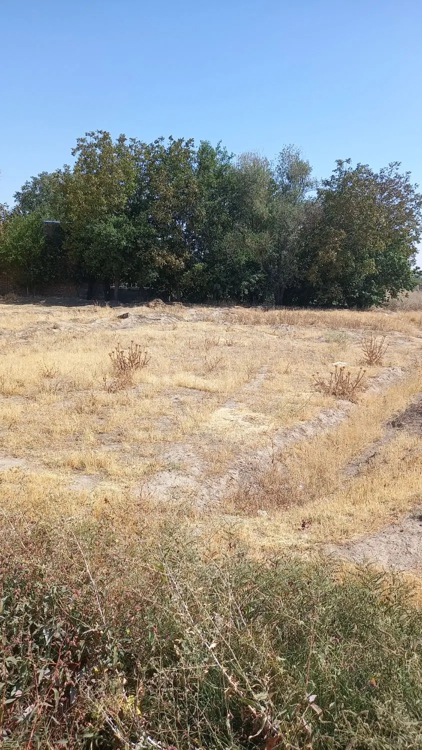زمین مسکونی شهرک وایعصر
