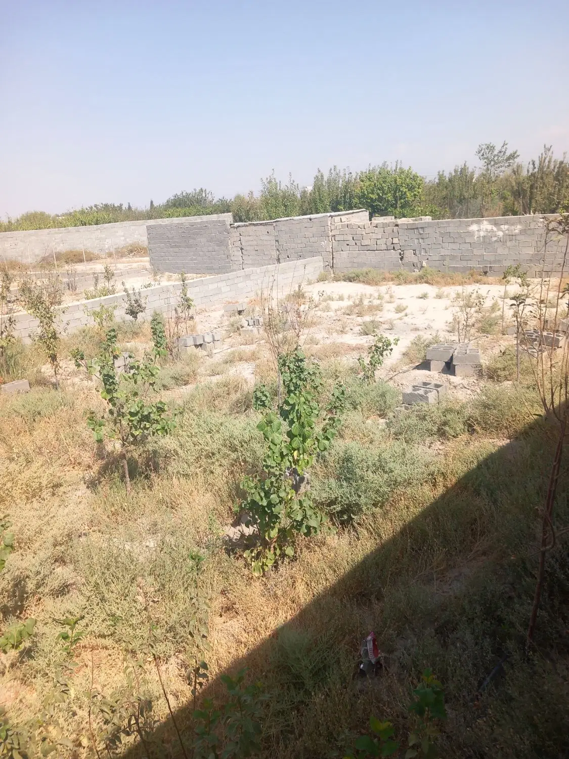 باغچه