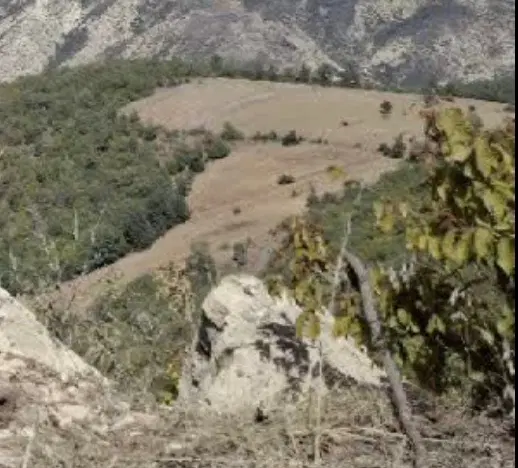 زمین اجاره ای اطراف شاهرود