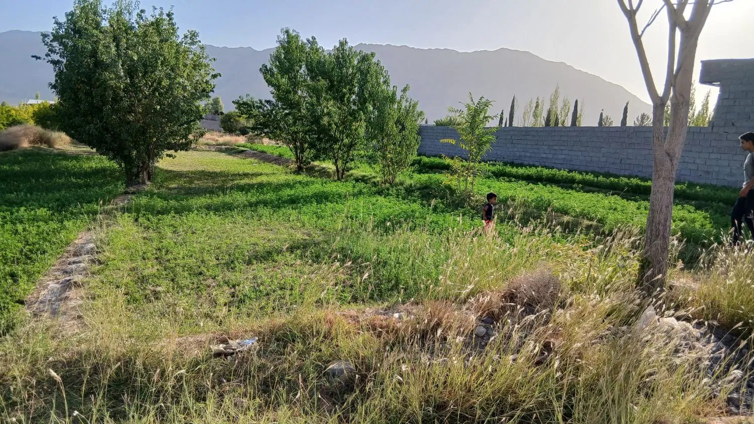 زمین فروشی کوهپایه سراسیاب