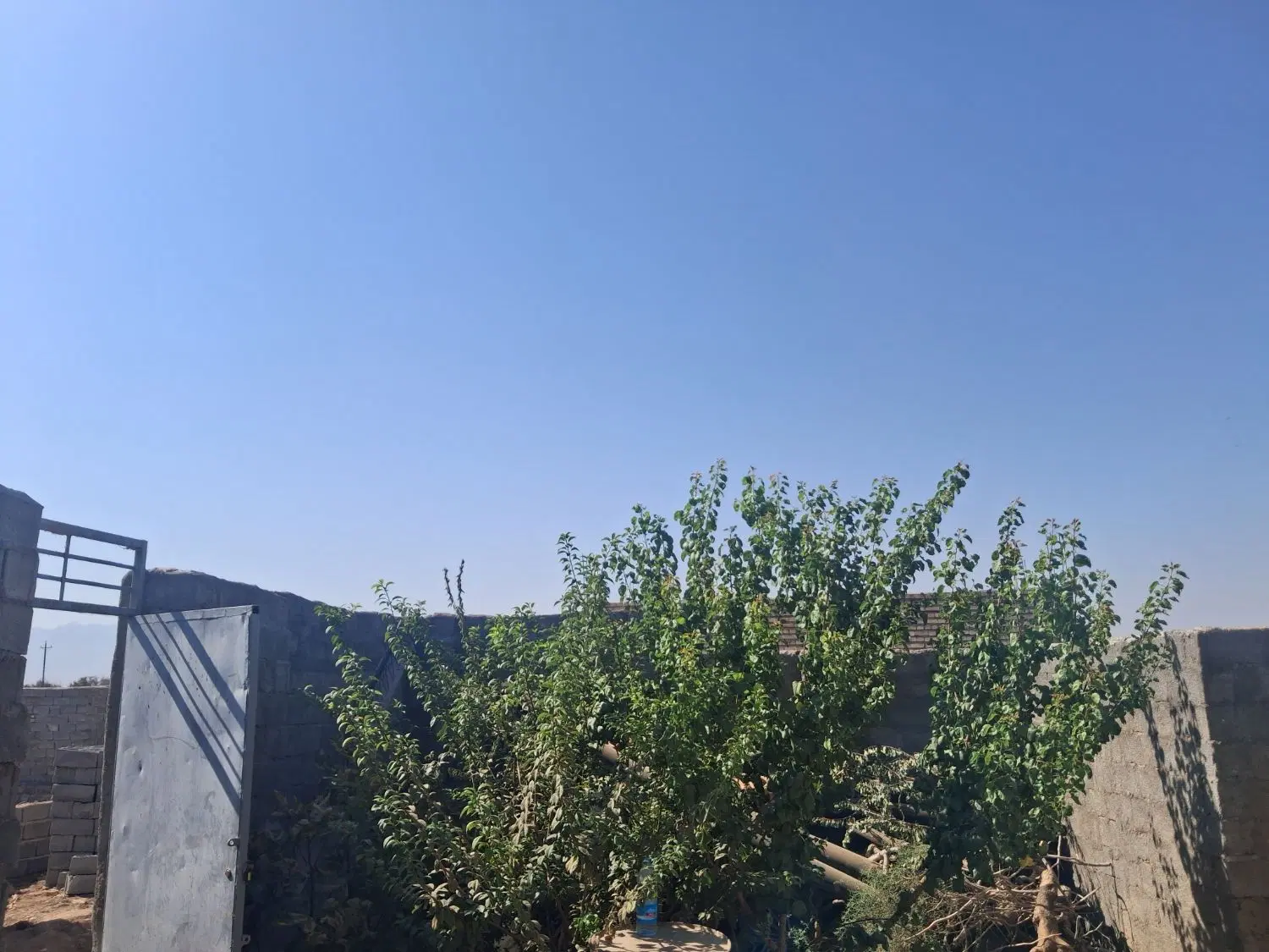 یک عدد خانه حدودا ۴قصب دارای  یک اتاق حدودا ۲۵متری