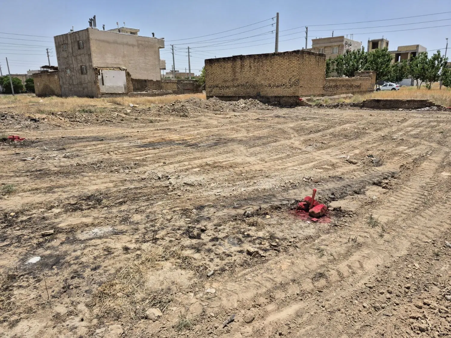 گل یخ غربی