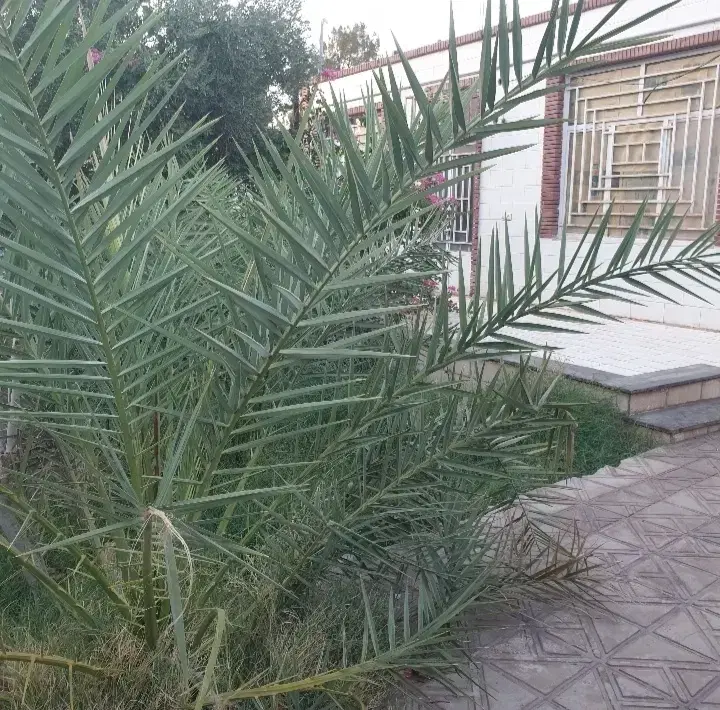 خانه ویلایی اجاره آزادی