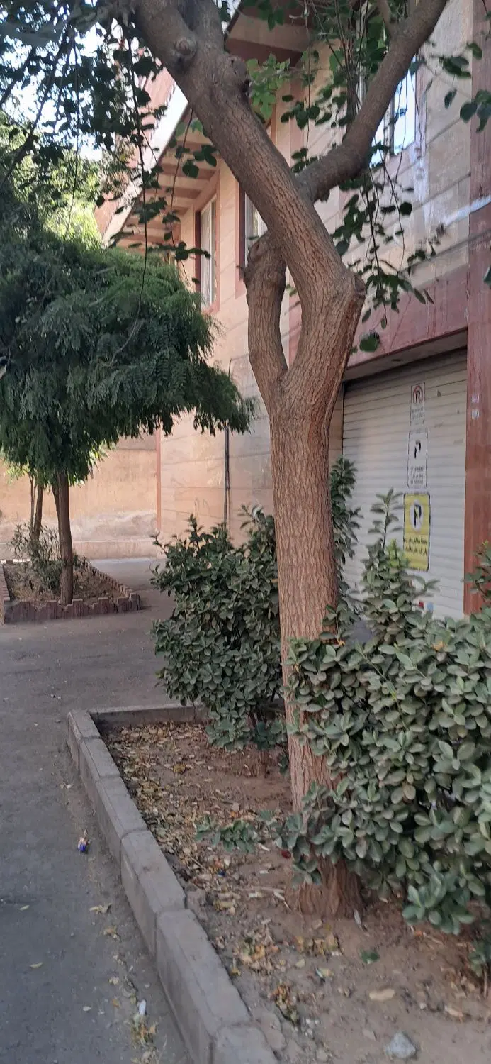 آپارتمان ۶۰ متری اجاره مختاری