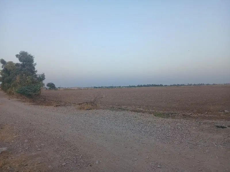 فروش زمین کشاورزی _ محدوده دزفول_ خوش قواره