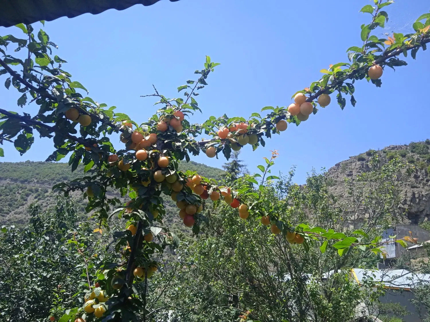 زمین خاورشهر صنایع دفاع سند دار