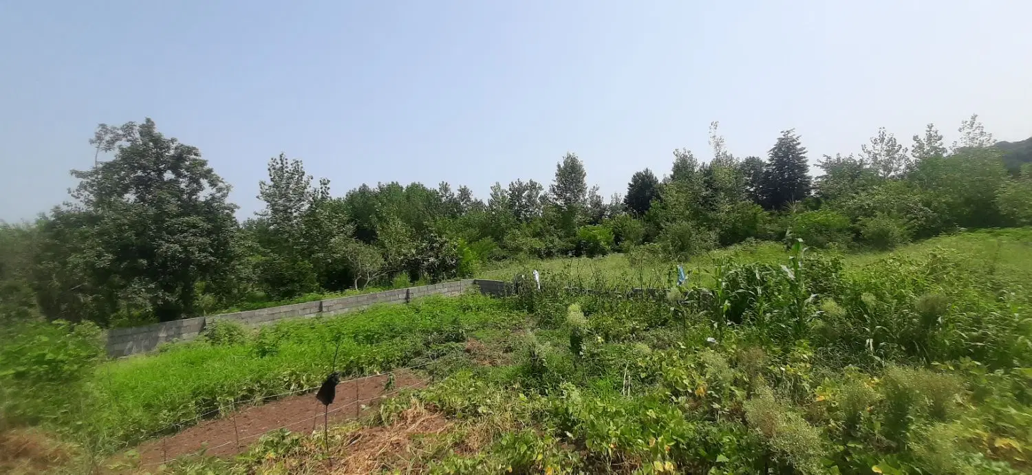 زمین سنددار مسکونی واجارگاه