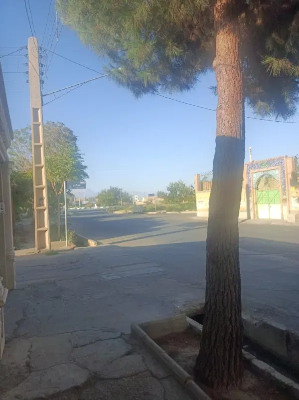 زمین بایر