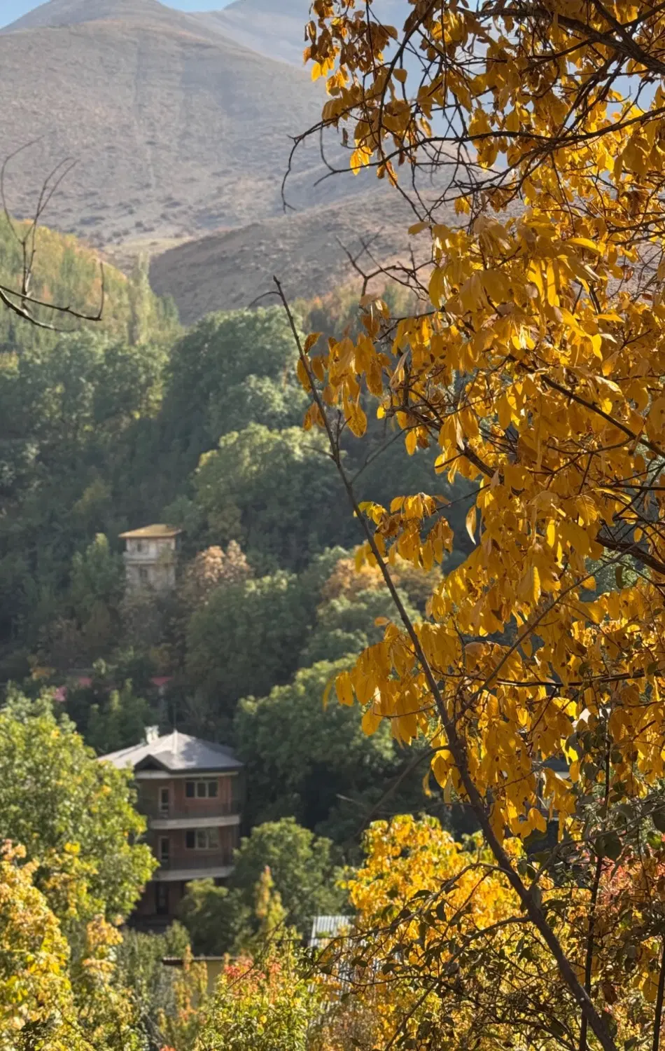 ۱۹۰ متر زمین در آهار