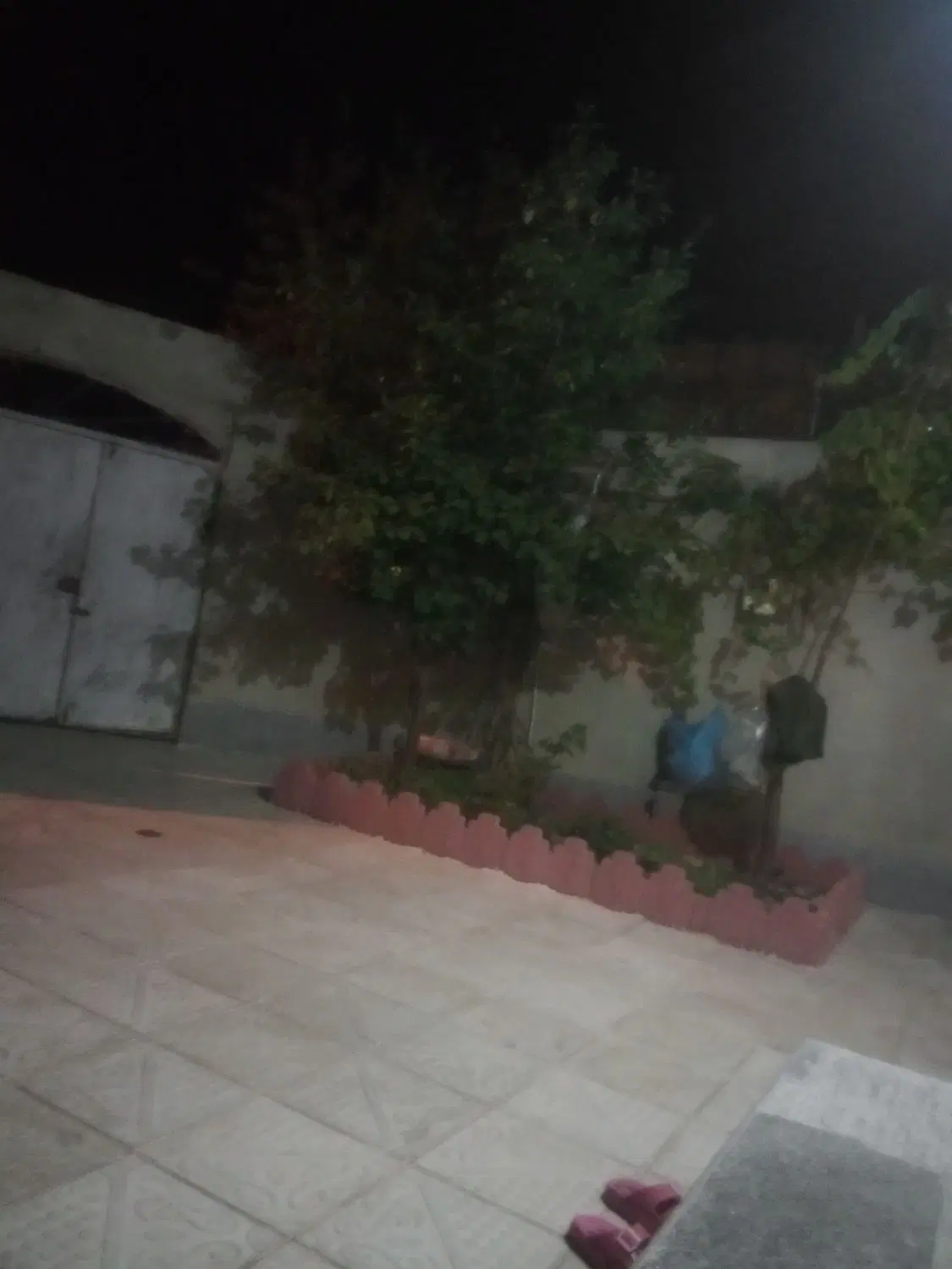 زمین