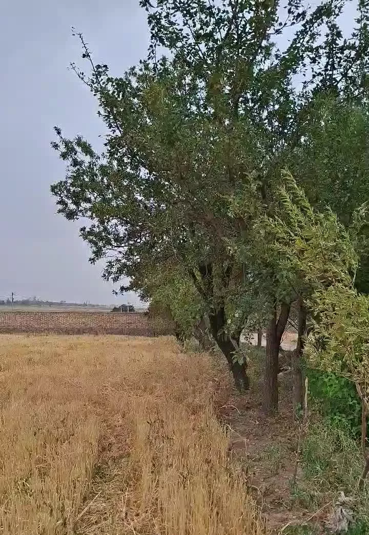 باغ ویلا زمین ملک زمین کشاورزی