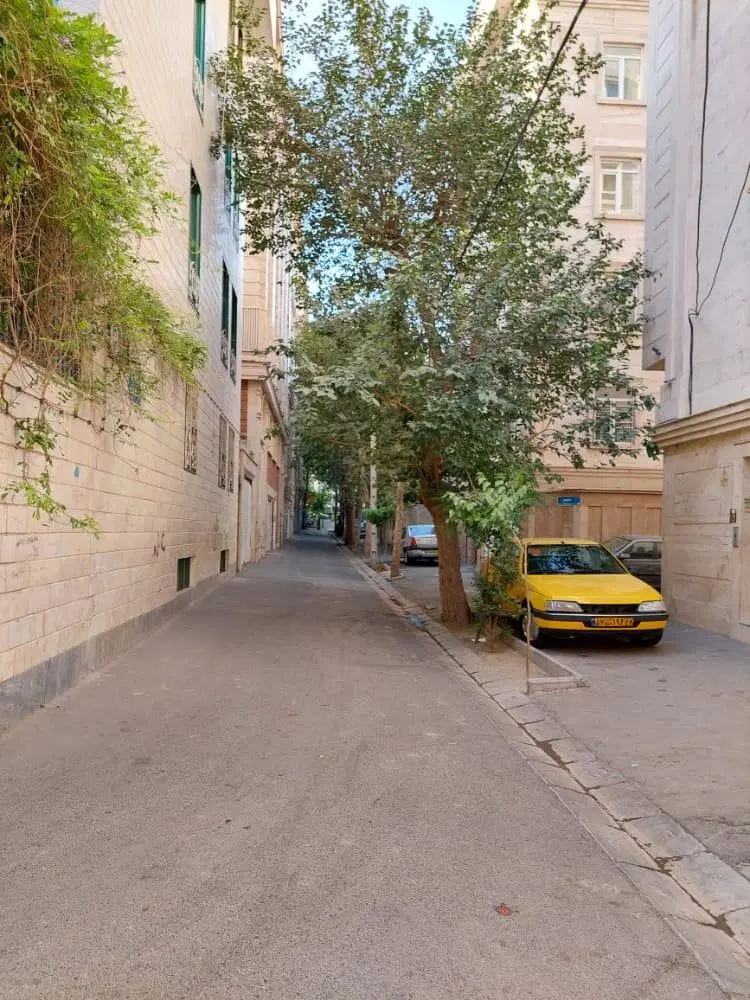 تک واحدی درخیابان فرهنگ تخلیه