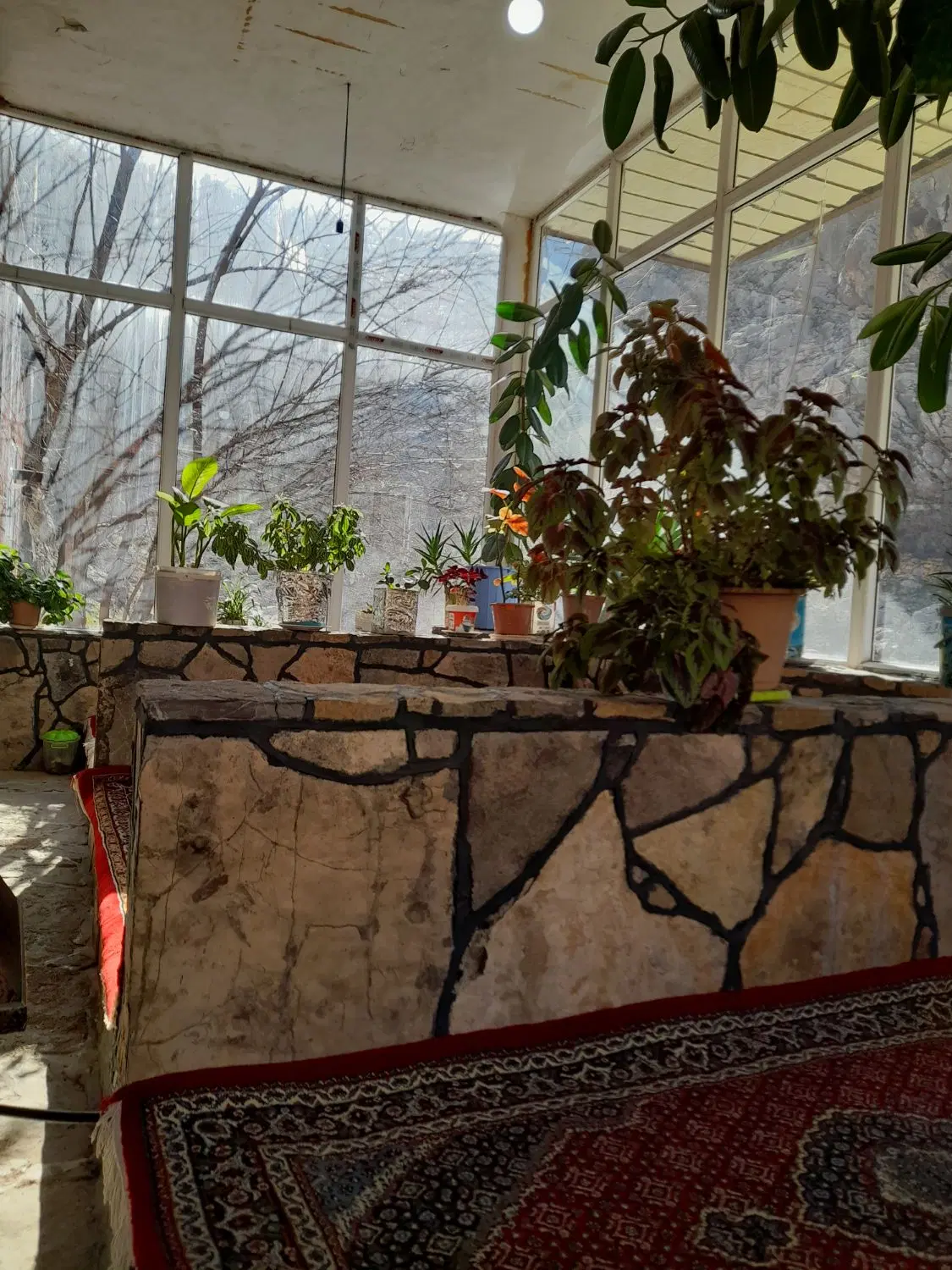 ملک مسکونی