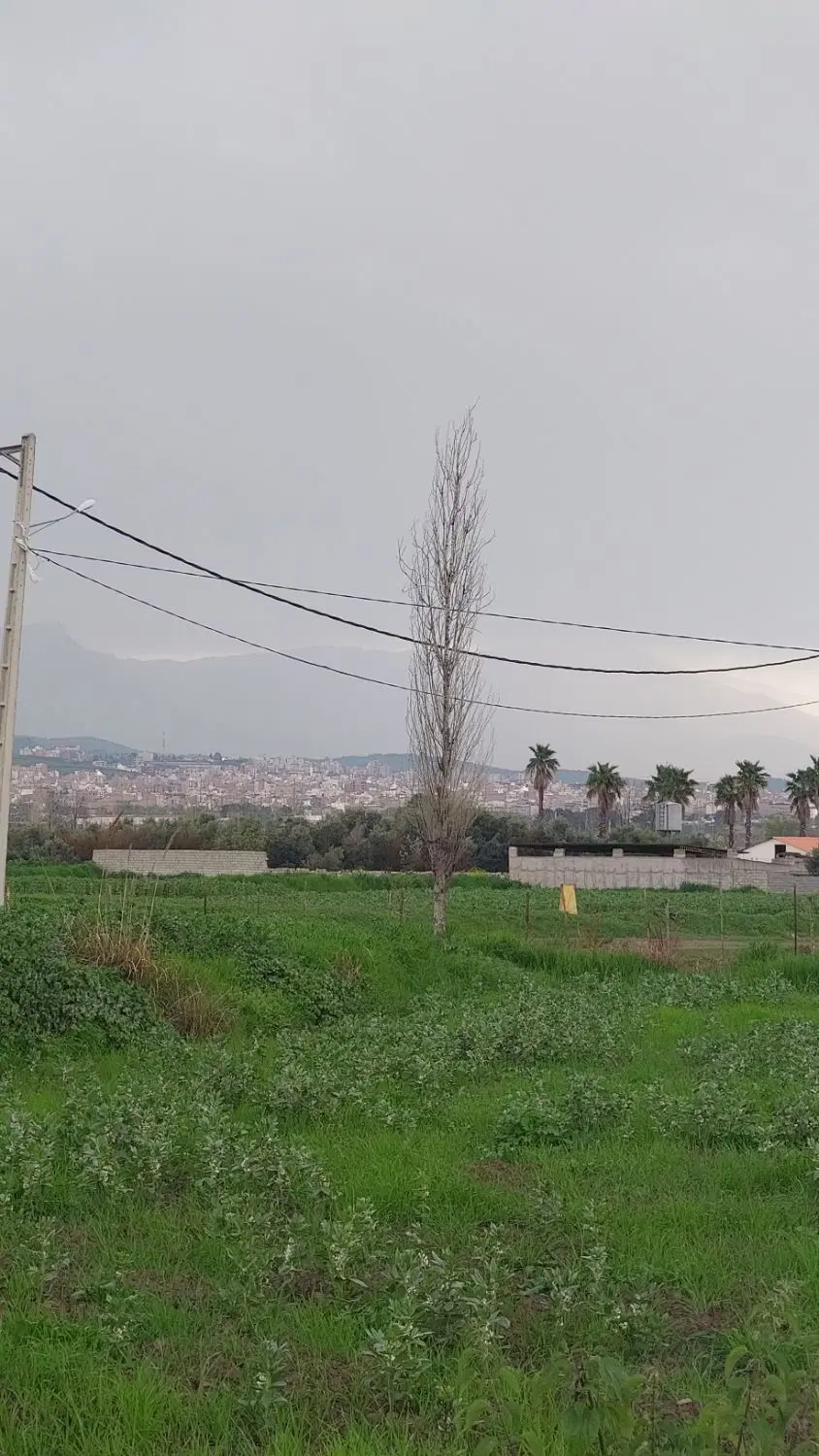 زمین باغی چسبیده ب گرگان